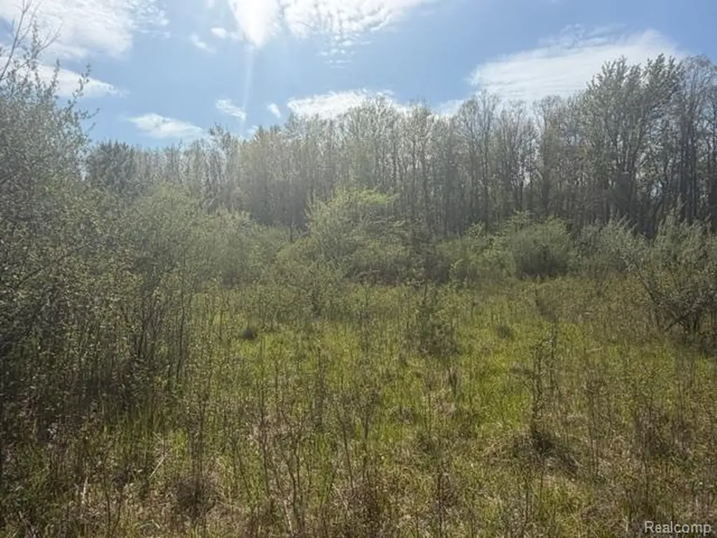 Parcel A & B Kelch Road Rich Township MI 48744