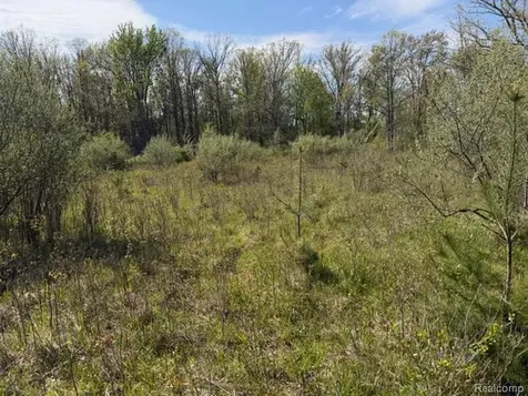 Parcel A & B Kelch Road Rich Township MI 48744
