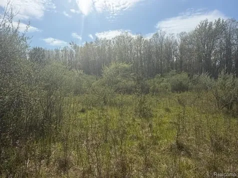 Parcel A & B Kelch Road Rich Township MI 48744
