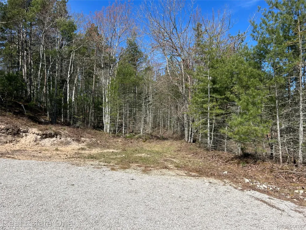 251 S Lake Michigan Road S Doyle Township MI 49840