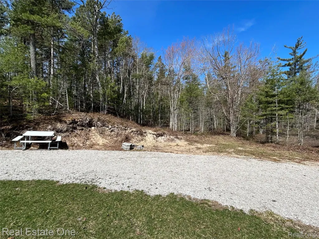 251 S Lake Michigan Road S Doyle Township MI 49840