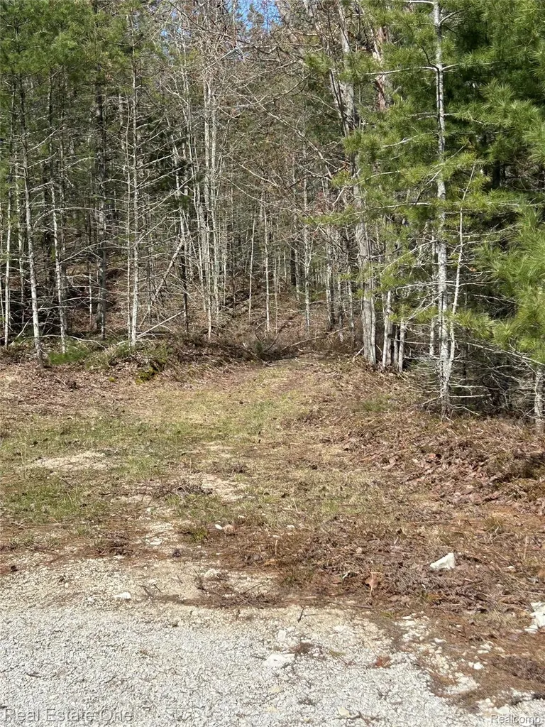 251 S Lake Michigan Road S Doyle Township MI 49840