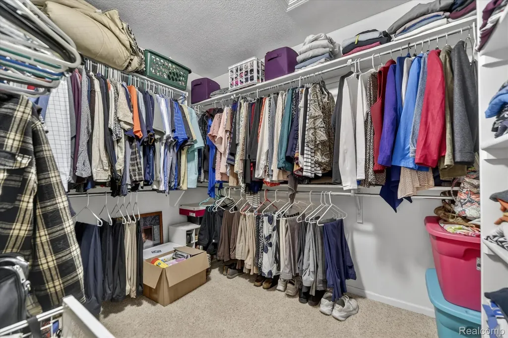 3857 Gorman Drive Dewitt Charter Township MI 48906
