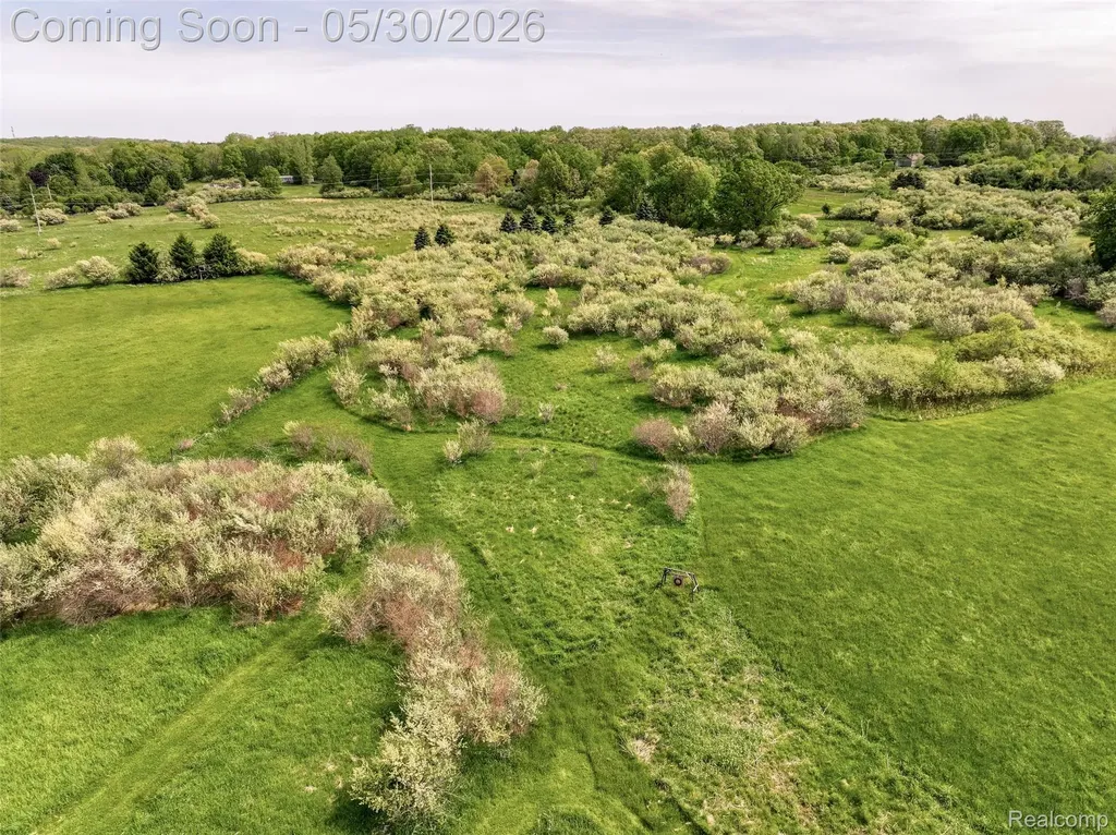 4481 Belford Road Holly Township MI 48442
