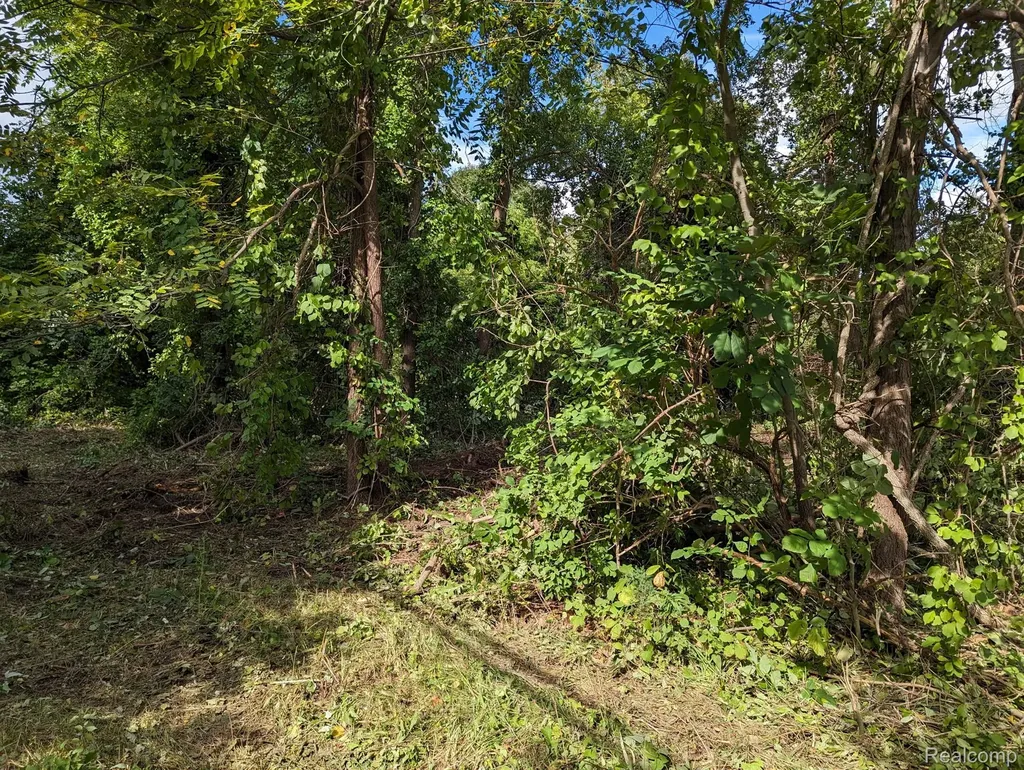 2 Dawson Road Milford Charter Township MI 48381