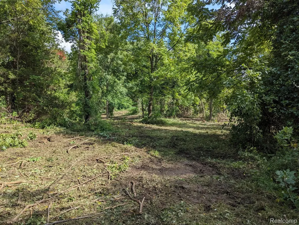 2 Dawson Road Milford Charter Township MI 48381