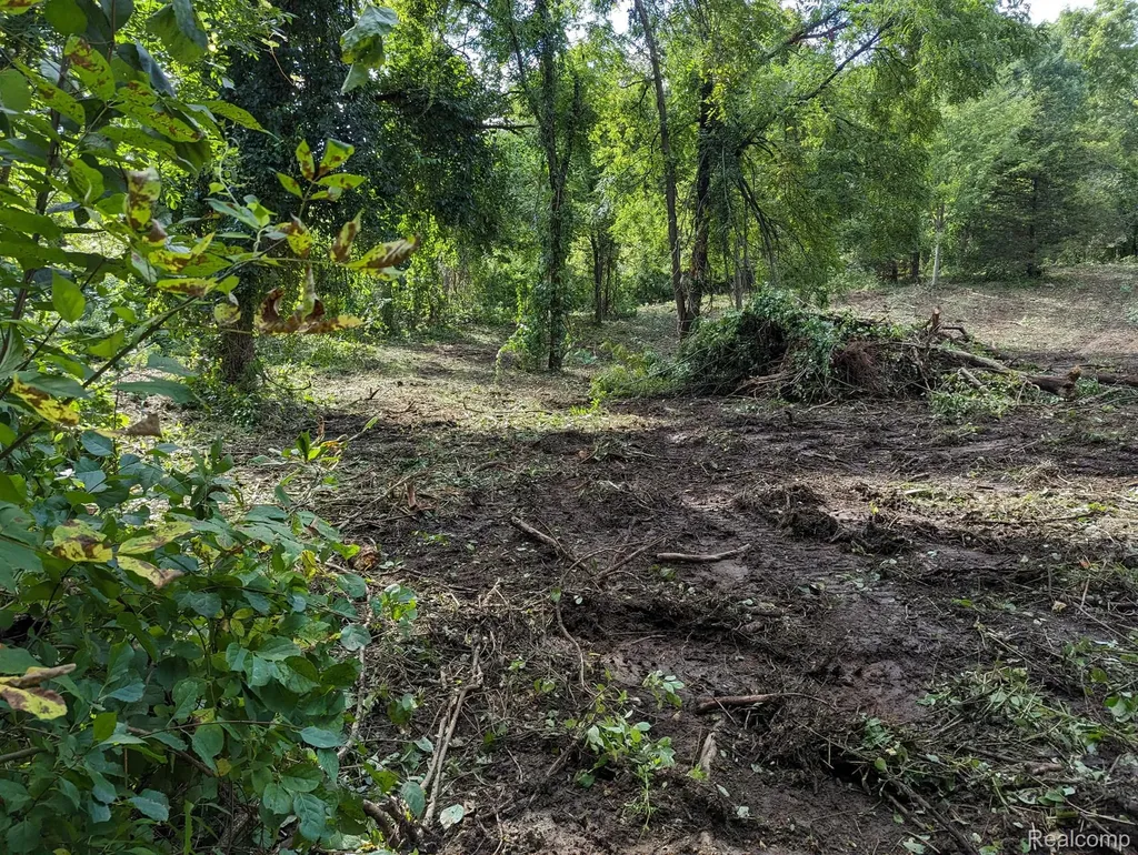 2 Dawson Road Milford Charter Township MI 48381