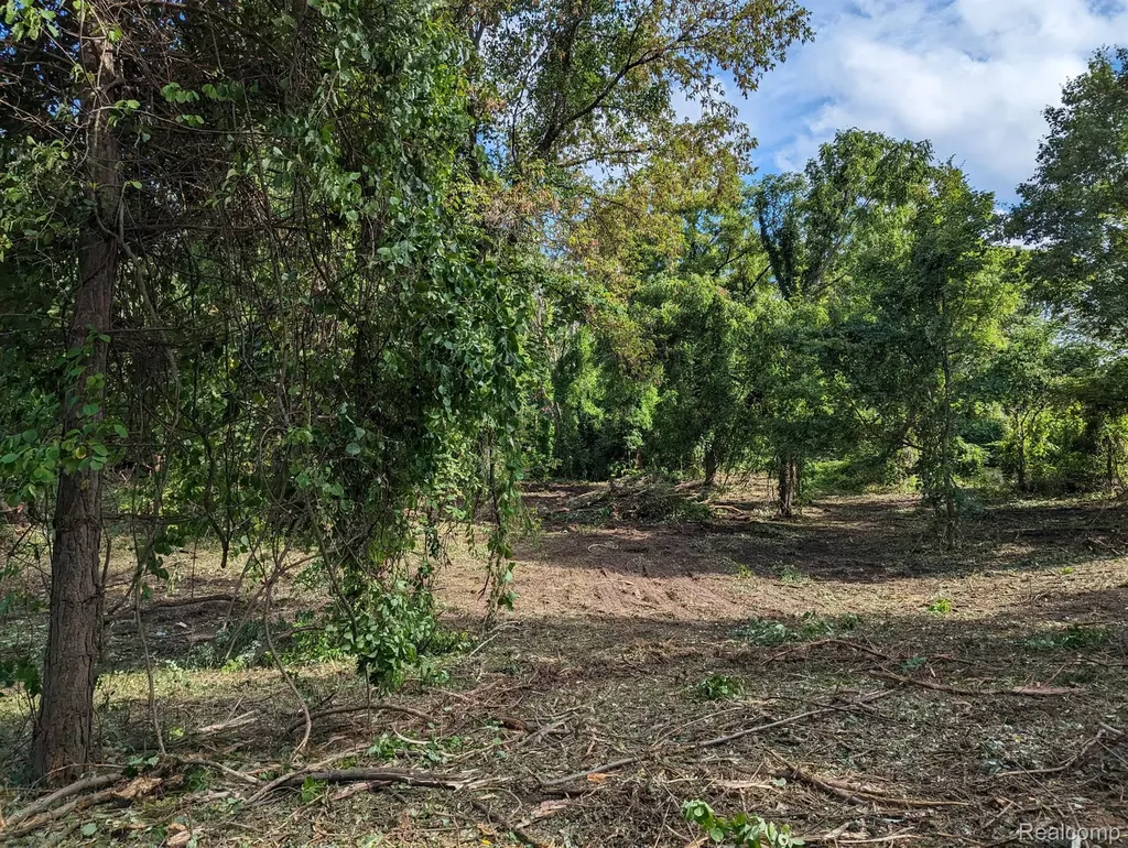 2 Dawson Road Milford Charter Township MI 48381