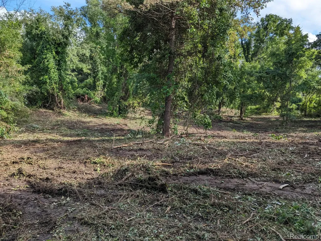 2 Dawson Road Milford Charter Township MI 48381