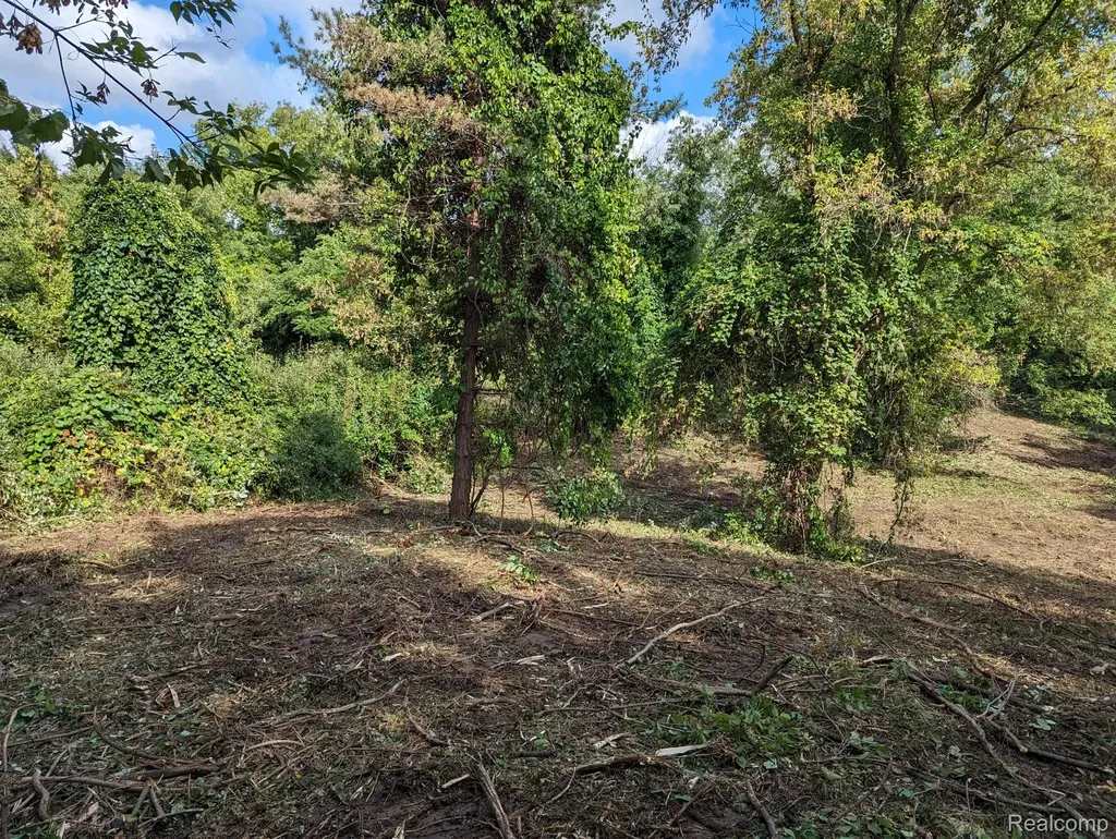 2 Dawson Road Milford Charter Township MI 48381