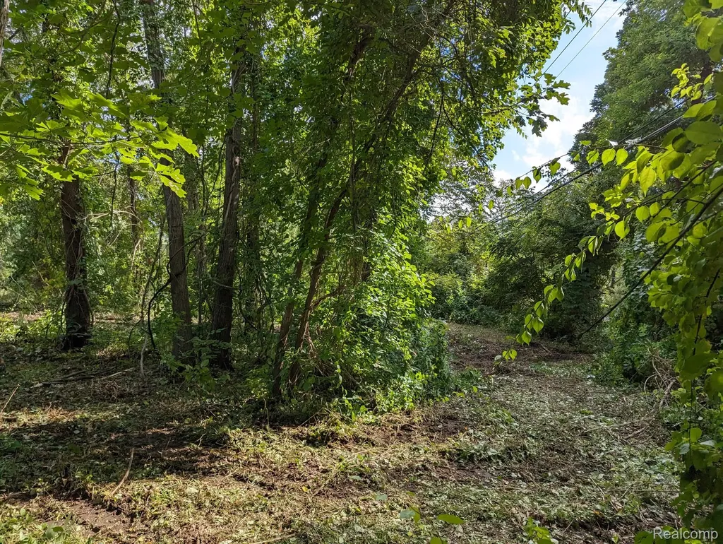 2 Dawson Road Milford Charter Township MI 48381