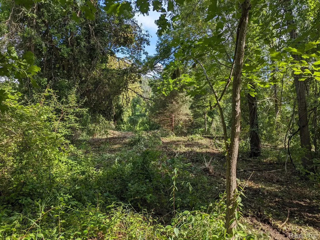 2 Dawson Road Milford Charter Township MI 48381