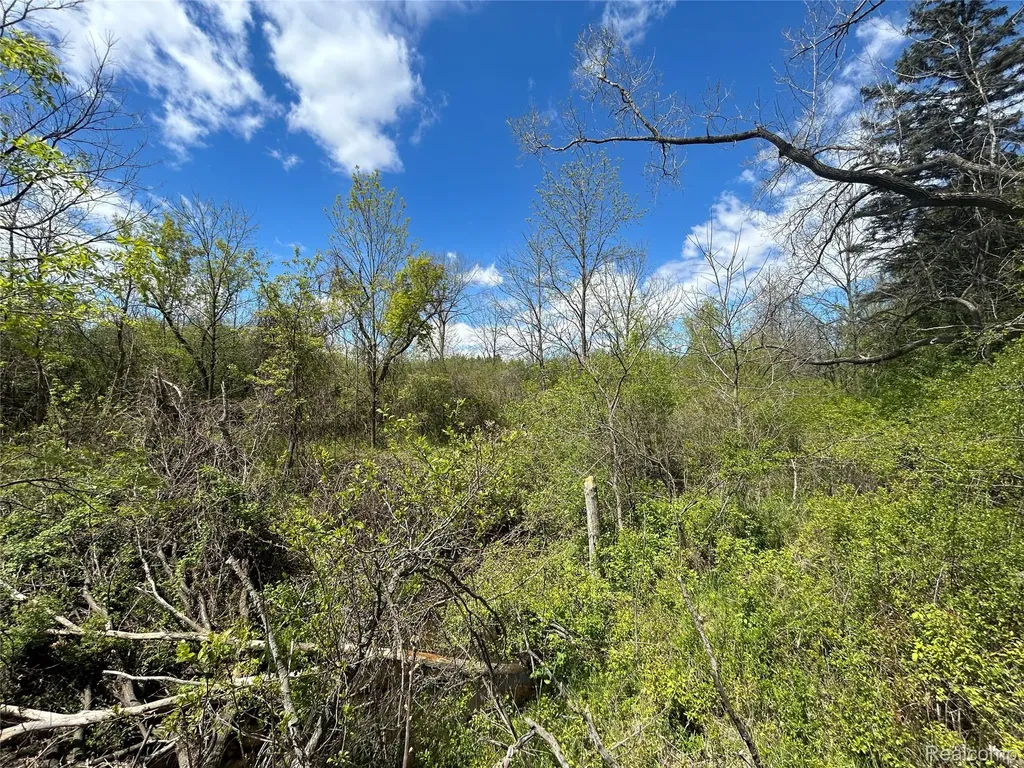 2356 S Dye Road Flint Charter Township MI 48532