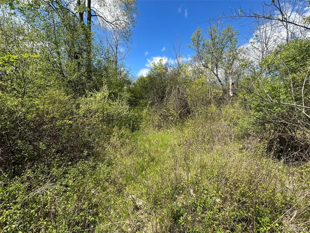 2356 S Dye Road Flint Charter Township MI 48532