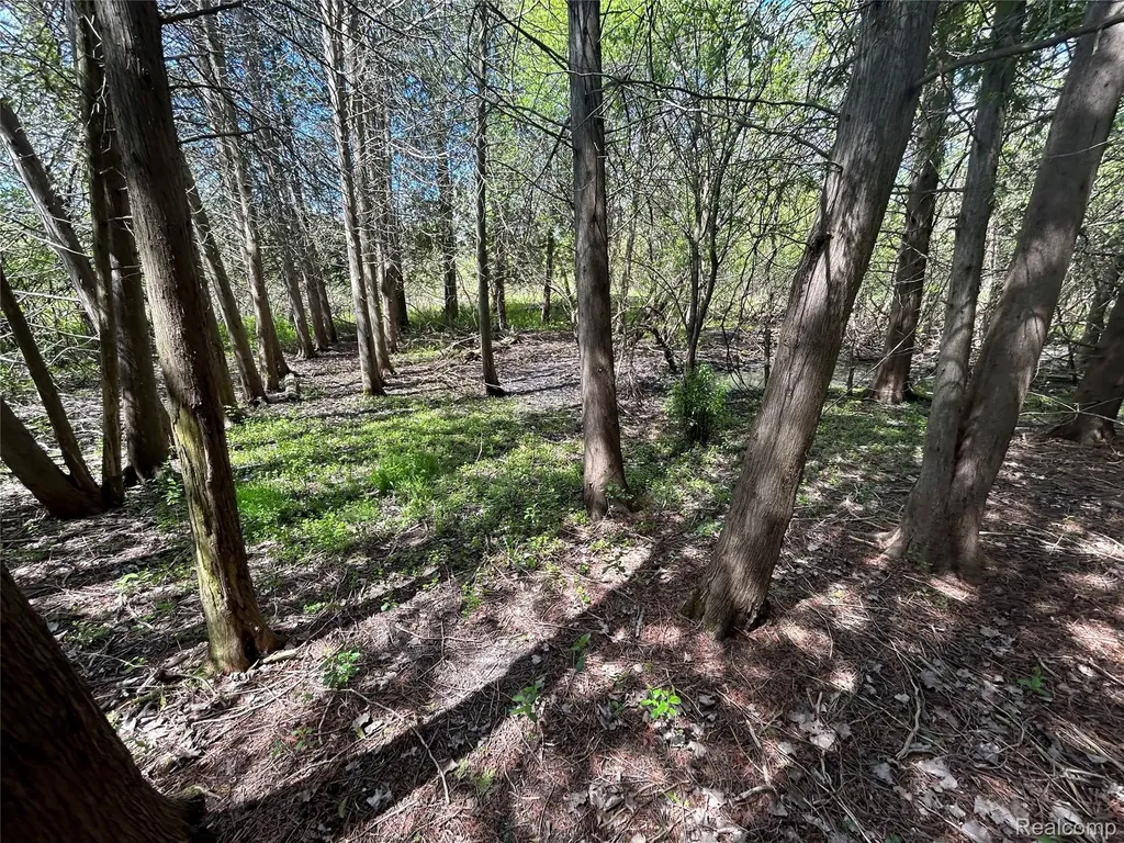 2356 S Dye Road Flint Charter Township MI 48532