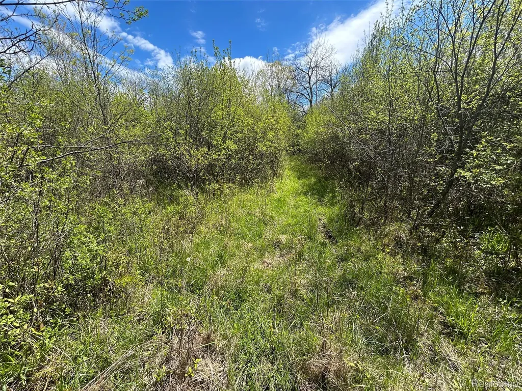 2356 S Dye Road Flint Charter Township MI 48532