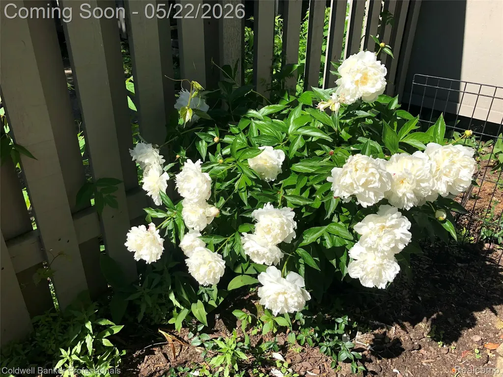 740 Peninsula Court Ann Arbor City MI 48105