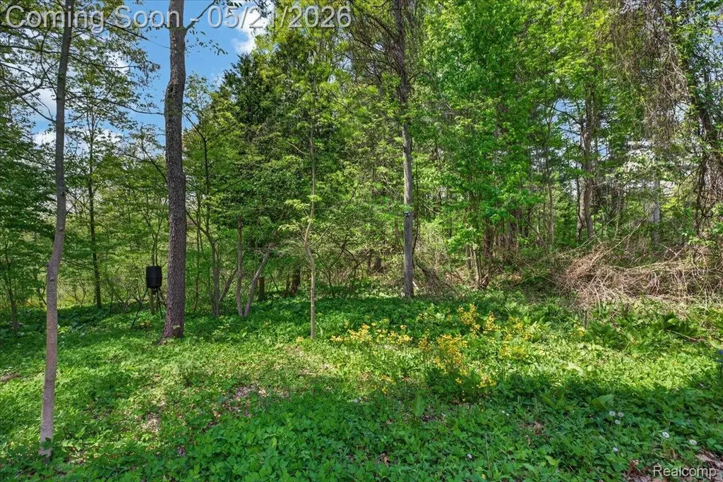 841 Sands Road Brandon Charter Township MI 48462