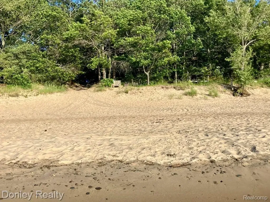 977 Port Austin Road Port Austin Township MI 48467