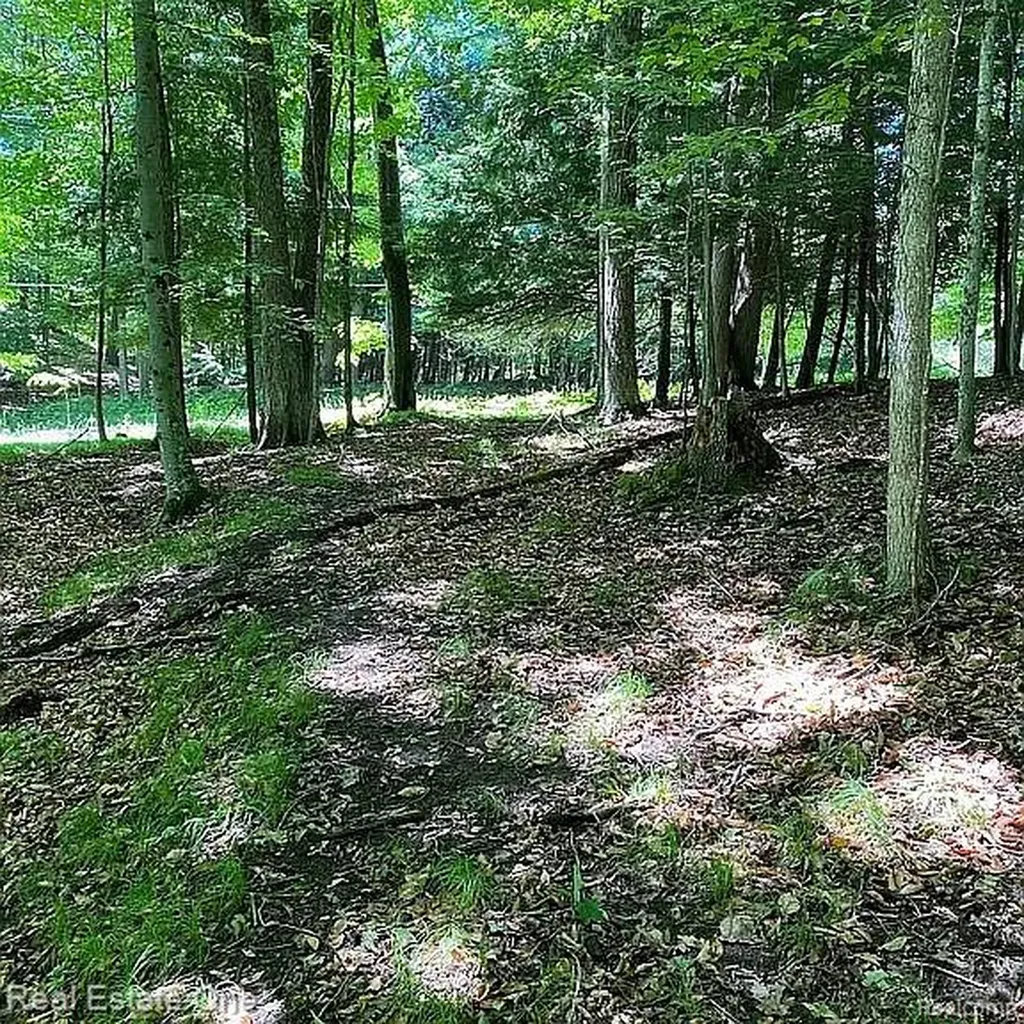 23007 Miramichi Drive Chippewa Township MI 49631