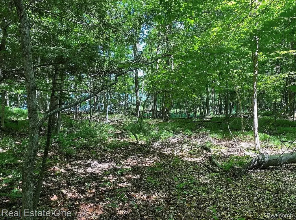 23007 Miramichi Drive Chippewa Township MI 49631