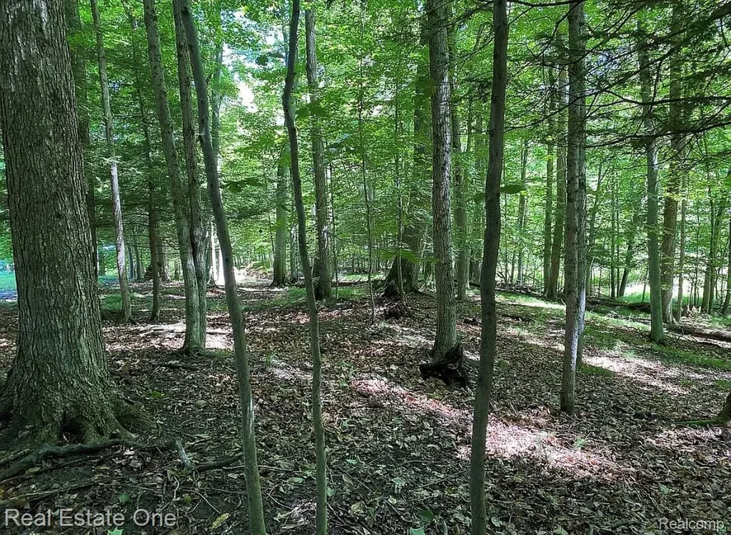 23007 Miramichi Drive Chippewa Township MI 49631