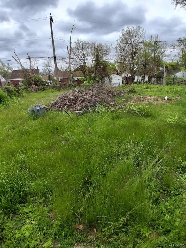 19726 Woodingham Drive Detroit City MI 48221