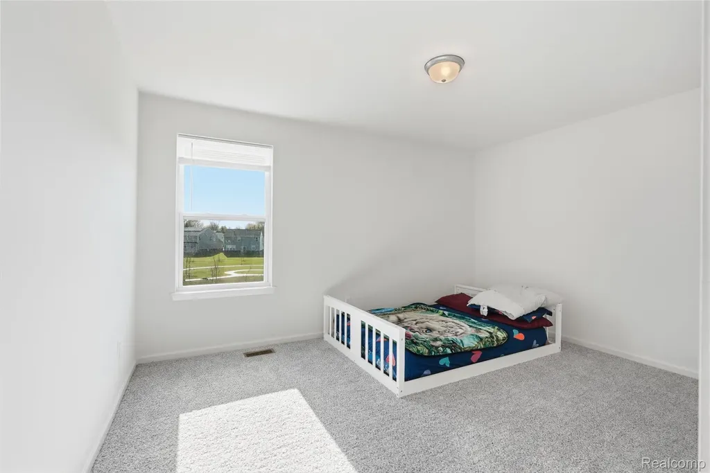 20975 Calabrese Drive Lyon Charter Township MI 48178