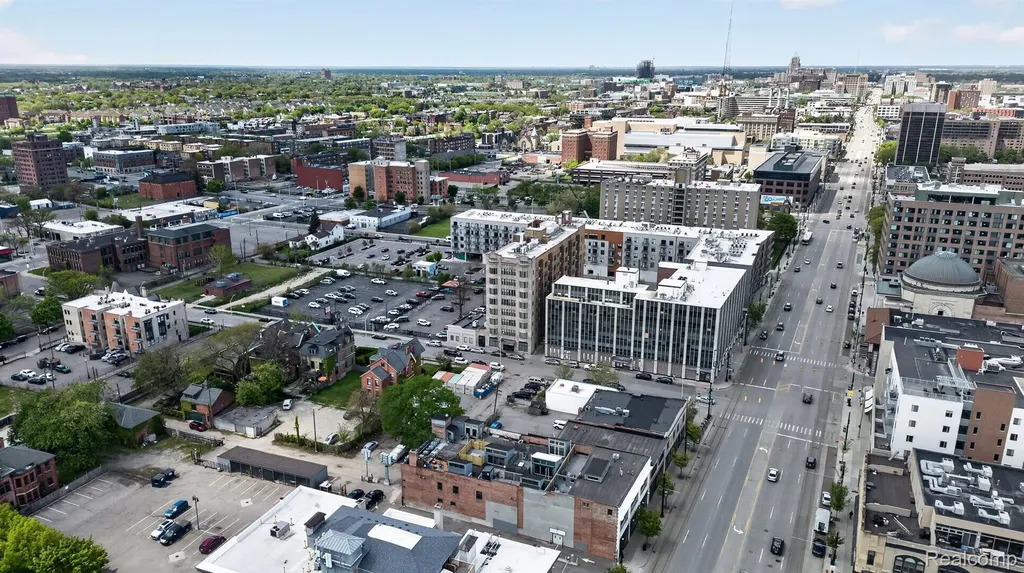 3139 Woodward Avenue Detroit City MI 48201
