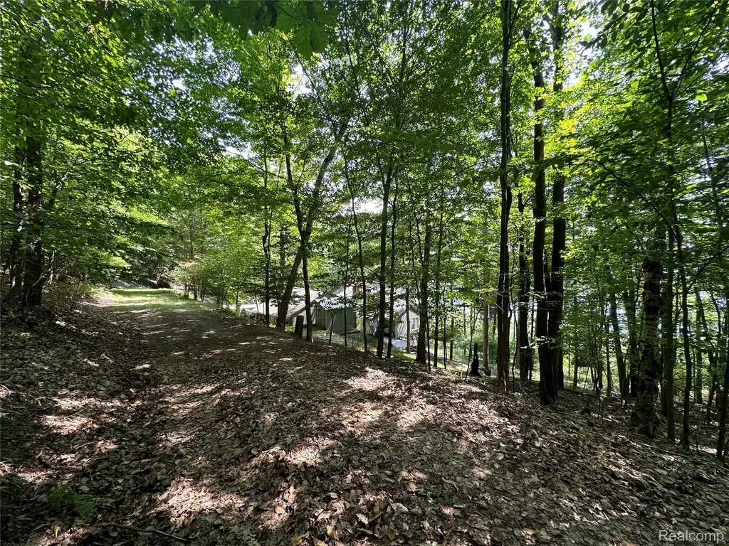Private Road Spring Valley Spring Valley Lake Township MI 49617