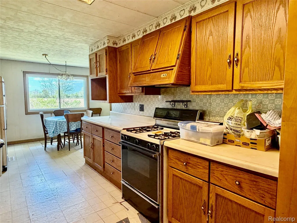 4380 N Blissfield Highway Ridgeway Township MI 49229