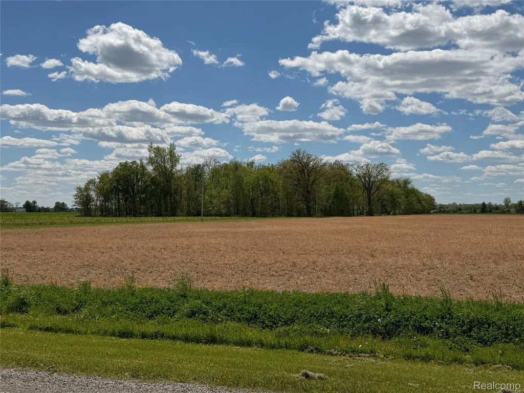 4380 N Blissfield Highway Ridgeway Township MI 49229