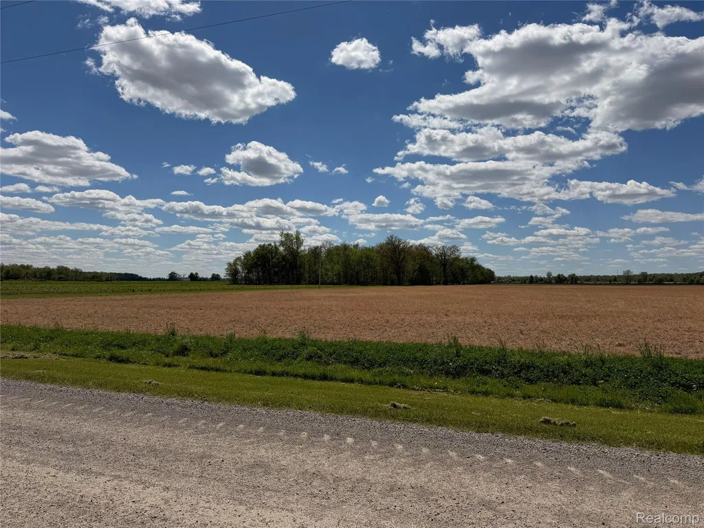 4380 N Blissfield Highway Ridgeway Township MI 49229