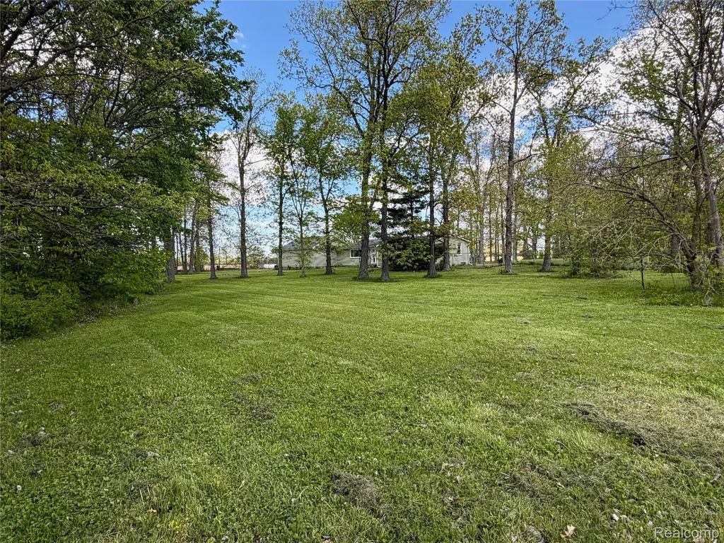 4380 N Blissfield Highway Ridgeway Township MI 49229