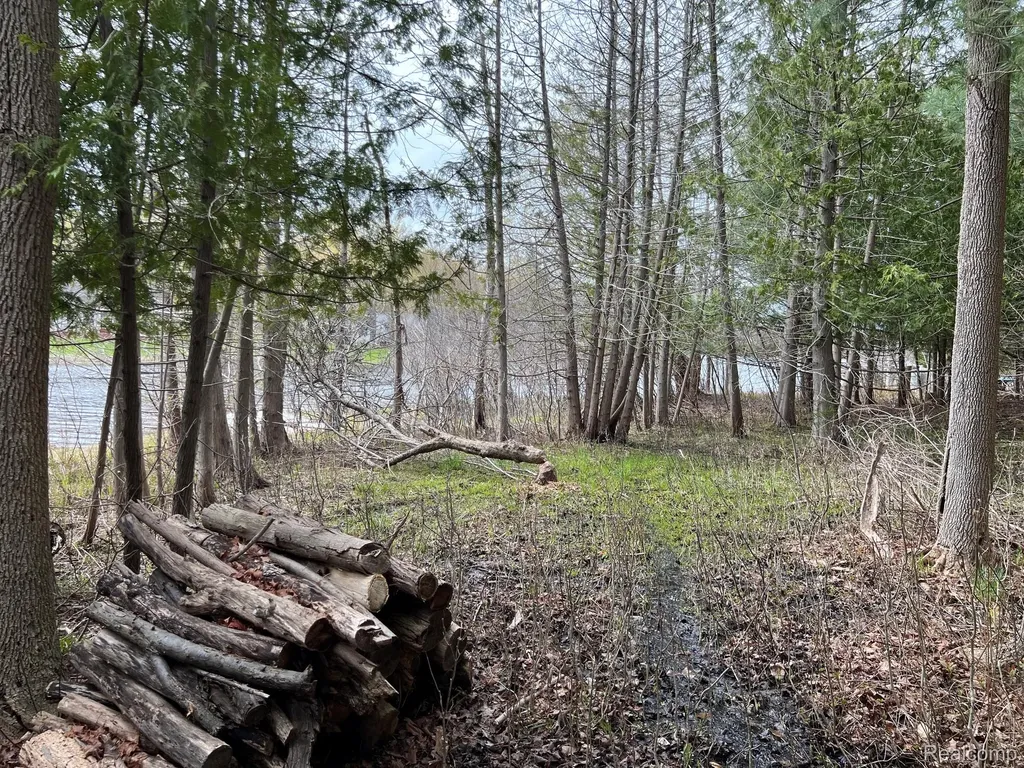 2903 Rushton Road Central Lake Village MI 49622