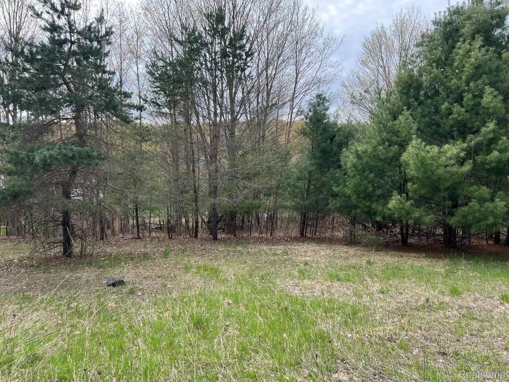 2903 Rushton Road Central Lake Village MI 49622