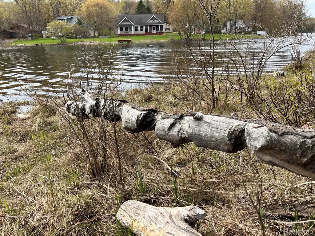 2903 Rushton Road Central Lake Village MI 49622