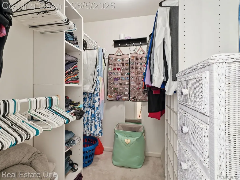 7794 Paint Creek Drive Ypsilanti Charter Township MI 48197