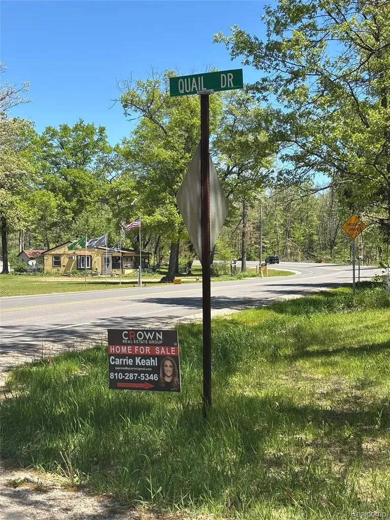 5932 Quail Drive Backus Township MI 48656