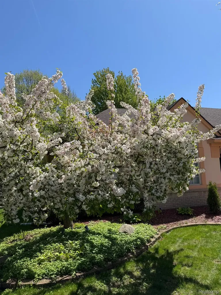 48280 Elmwood Drive Shelby Charter Township MI 48315