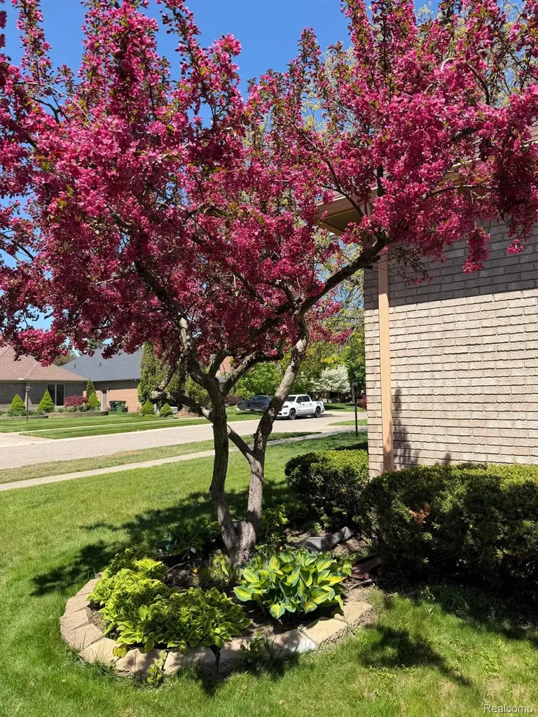 48280 Elmwood Drive Shelby Charter Township MI 48315