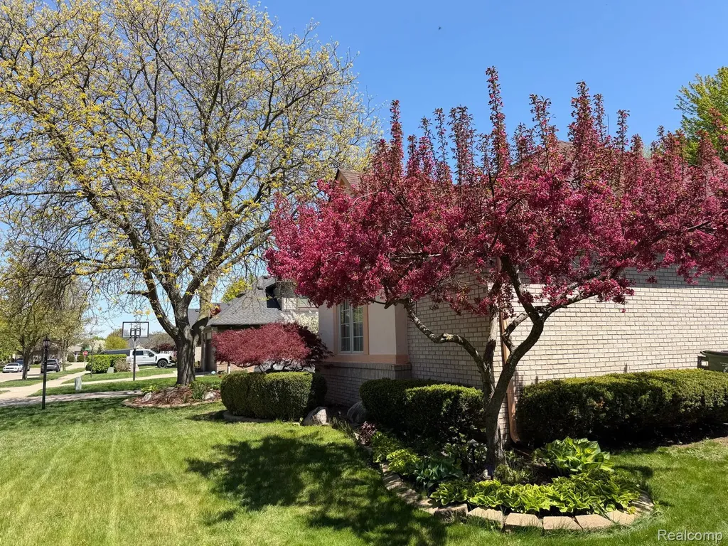 48280 Elmwood Drive Shelby Charter Township MI 48315