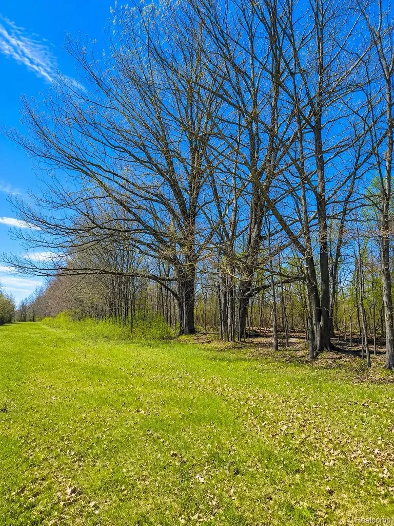 00 Jeddo Lynn Township MI 48416