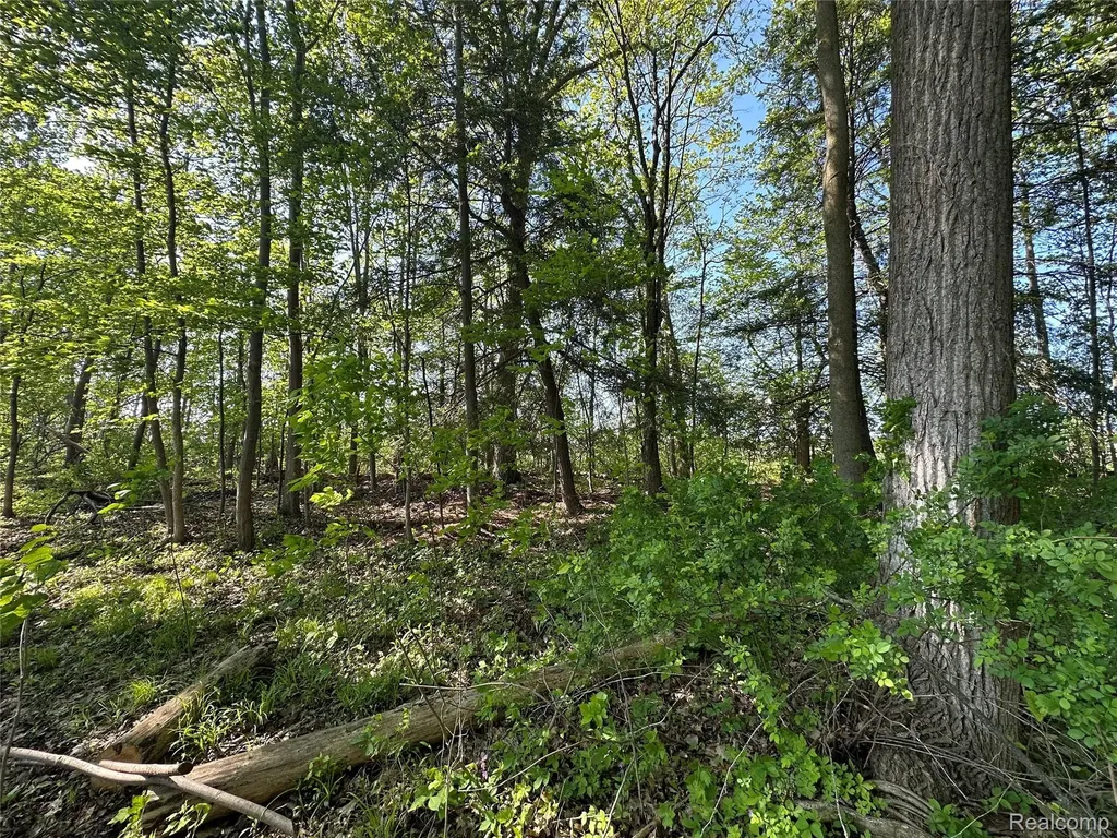 4233 State Road Fort Gratiot Charter Township MI 48059
