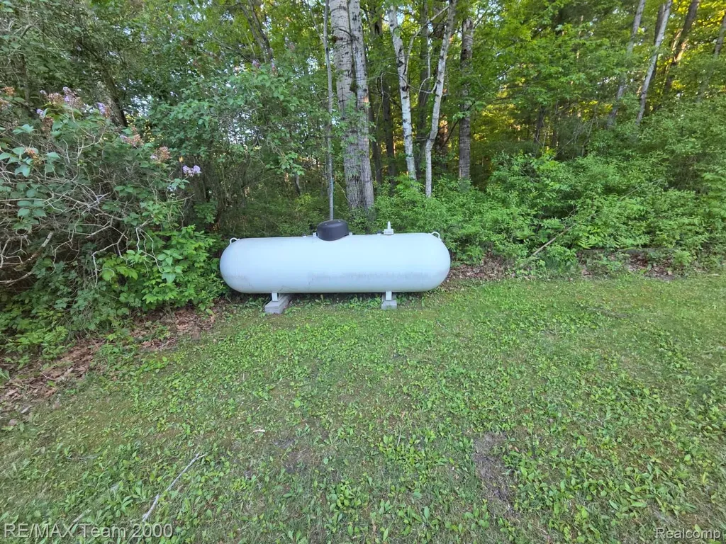 730 S M 65 Arenac Township MI 48766