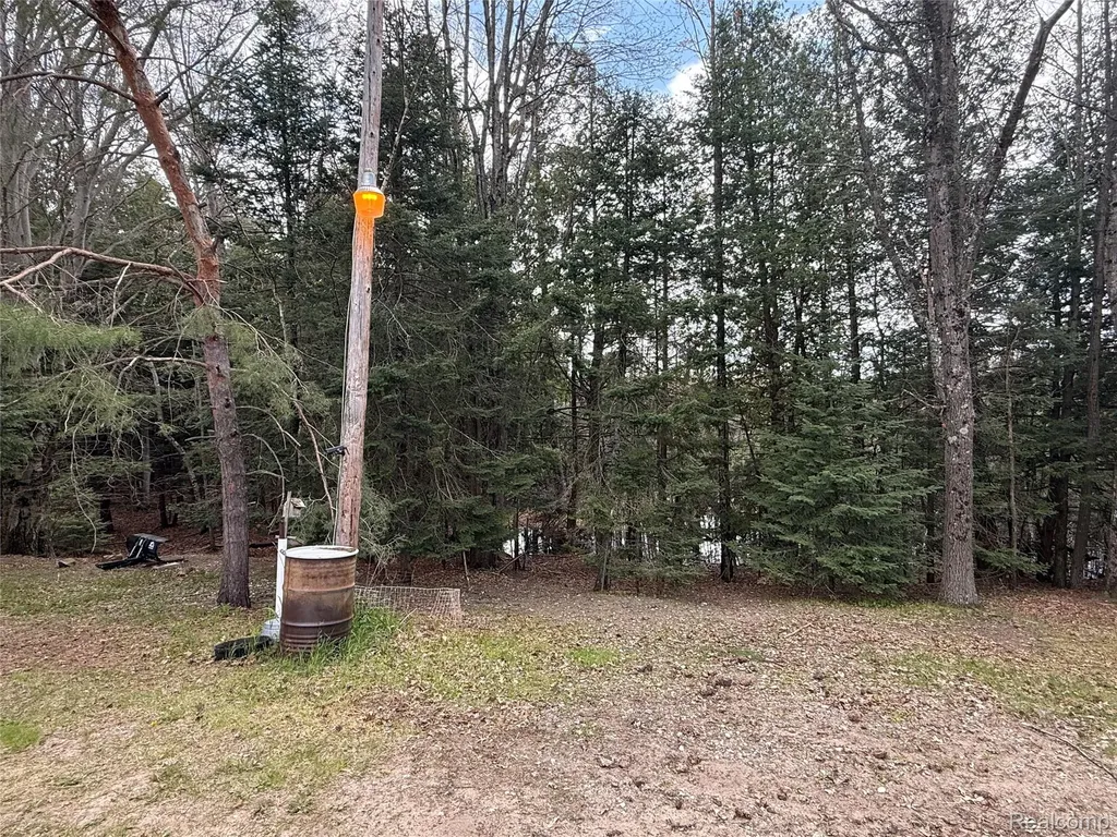 11245 Cedar Road Freeman Township MI 48632