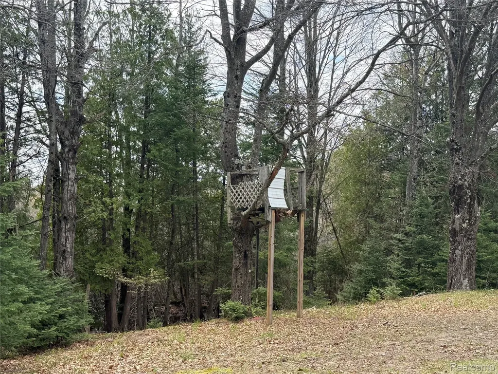 11245 Cedar Road Freeman Township MI 48632