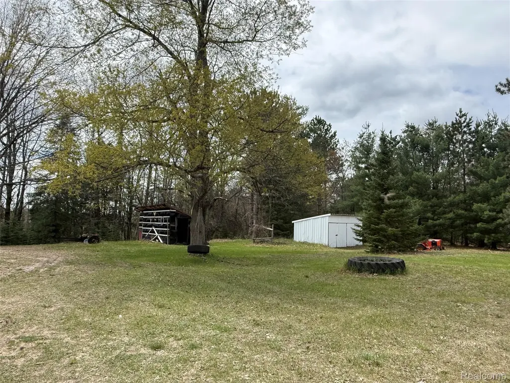 11245 Cedar Road Freeman Township MI 48632