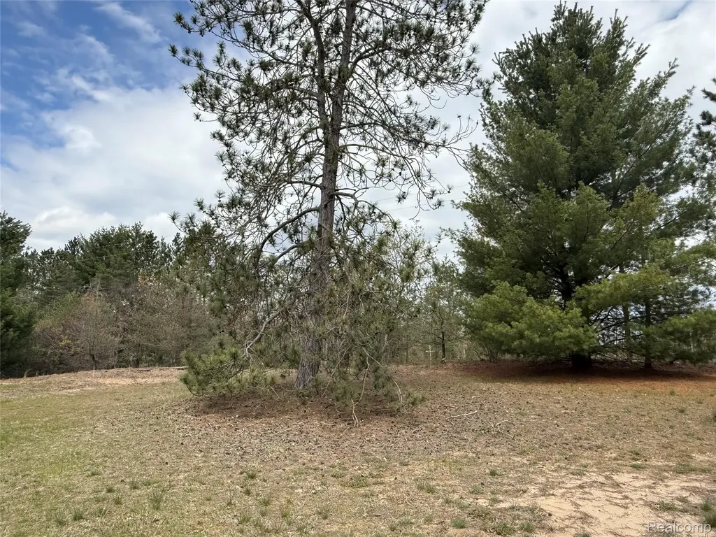 11245 Cedar Road Freeman Township MI 48632