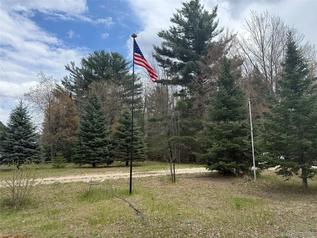 11245 Cedar Road Freeman Township MI 48632
